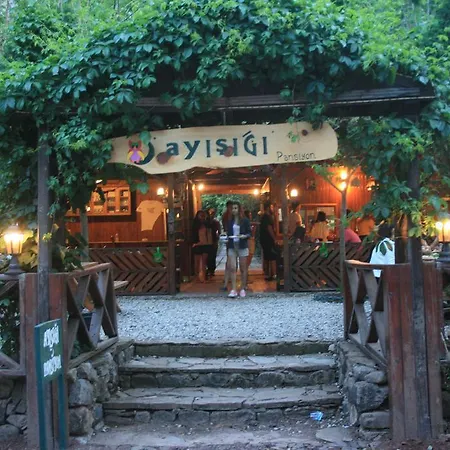 Ayisigi * Olympos
