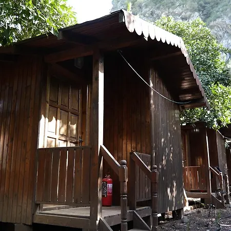 Ayisigi * Olympos