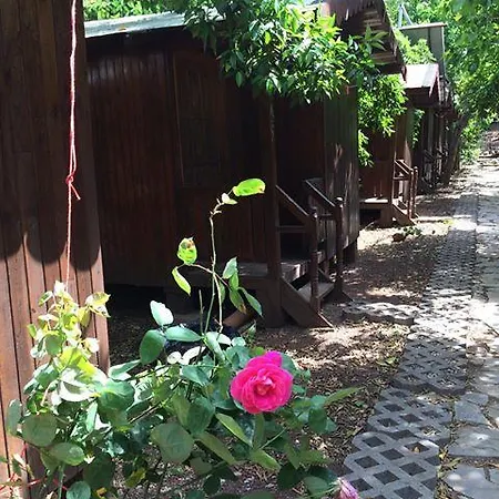 Privatunterkunft Ayisigi Olympos
