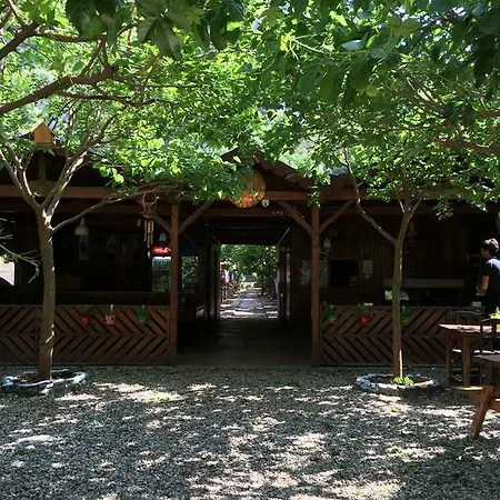 Privatunterkunft Ayisigi Olympos