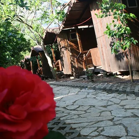 Homestay Ayisigi