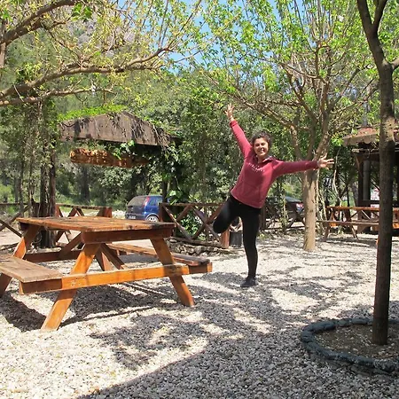 Ayisigi Homestay *