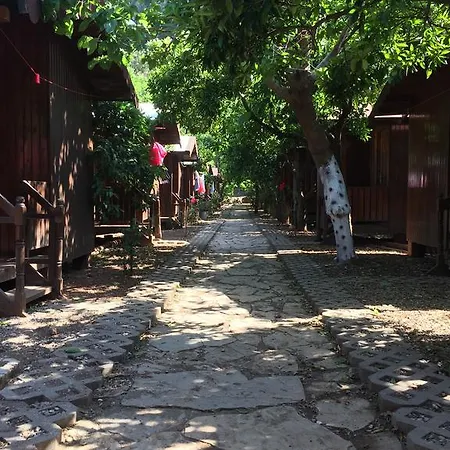 Homestay Ayisigi